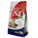 N & D Quinoa CAT Digestion Lamb & Fennel 5kg