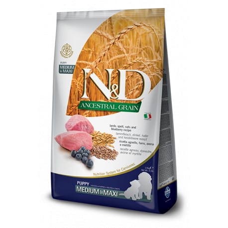 N&D LG DOG Puppy M/L Lamb & Blueberry 2,5kg