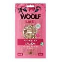 Woolf pochúťka Earth NOOHIDE S Salmon 90g