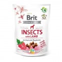 Brit Care Dog Crunchy Crack. Insec. Lamb Raspber 200g