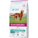 Eukanuba Dog DC Sensitive Digestion 12kg NEW