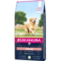 Eukanuba Dog Senior Large&Giant Lamb&Rice 12kg