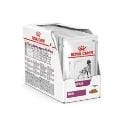Royal Canin VD Canine Renal 12x100g vrecko