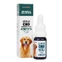 CBD olej pre veľké psy 15%, 10ml