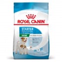 Royal Canin Mini Starter Mother&Babydog 8kg