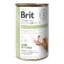 Brit VD Dog GF konz. Diabetes 400g