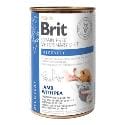 Brit VD Dog+Cat GF konz. Recovery 400g