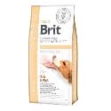 Brit VD Dog GF Hepatic 12kg