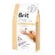 Brit VD Dog GF Hepatic 2kg