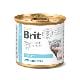 Brit VD Cat GF konz. Obesity 200g