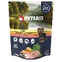 ONTARIO kaps. CARP with vegetables in broth 300g