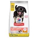 Hill's SP Dog Puppy Medium Perfect Digestion Chicken 2,5kg