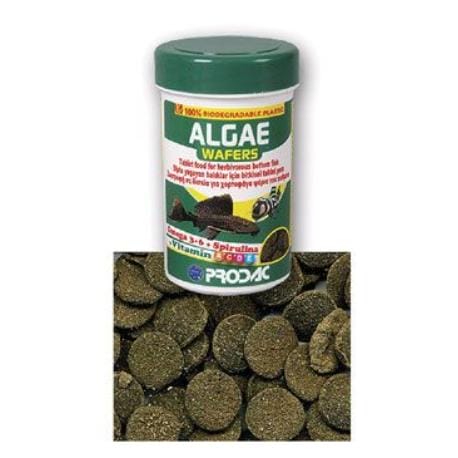 Krmivo pro ryby Prodac Algae Wafers 50g