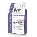 Brit VD Cat GF Gastrointestinal-Low fat 2kg