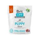 Brit Care Dog Hypoallergenic Puppy 1kg