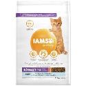 IAMS Cat Kitten Ocean Fish 10kg