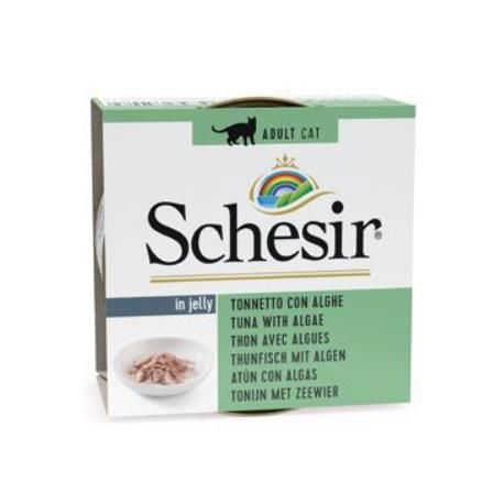 Schesir Cat konz. Adult tuňák/řasy 85G