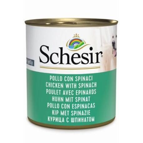 Schesir Dog konz. Adult kuře/špenát 285g