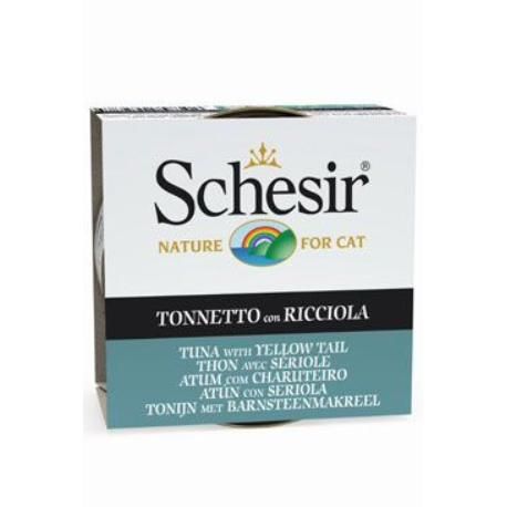 Schesir Cat konz. Adult tuňák/kranas 85G