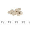 Canina Caniletten 300g