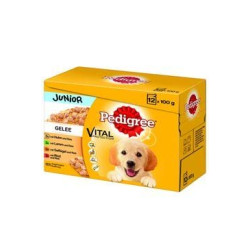 Pedigree kapsa Junior 12pack 100g