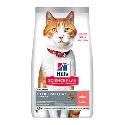 Hill's SP Cat Adult Sterilised Salmon 10kg