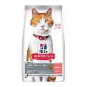 Hill's SP Cat Adult Sterilised Salmon 1,5kg