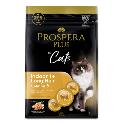 PROSPERA Plus Indoor 1+ Salmon Long Hair 2kg