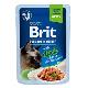 Brit Premium Cat D Fillets Gravy Duck Sterilised 85g