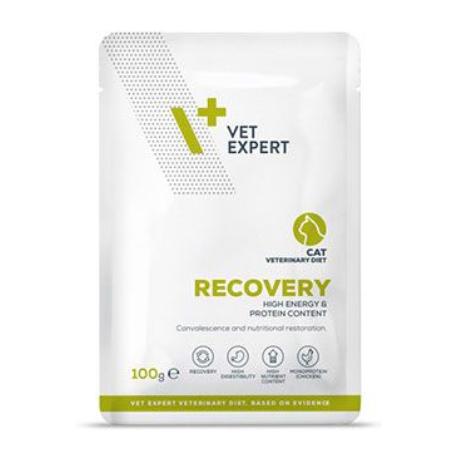 VetExpert VD 4T Recovery Cat kapsa 100g