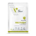 VetExpert VD 4T Recovery Cat kapsa 100g