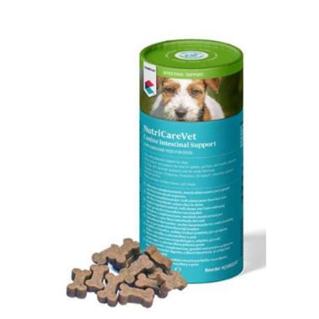 NutriCareVet Intestinal supp. Canine CHEW 60tbl CVET