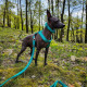Obojek Hurtta Casual ECO černý 20-30cm