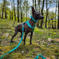 Obojek Hurtta Casual ECO rubínový 20-30cm