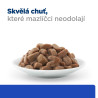 Hill's Fel. PD M/D konz. 12x85g