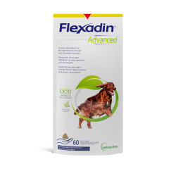 Flexadin Advanced New 60tbl