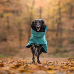 Obleček Hurtta Monsoon coat II ECO ostružinový 65