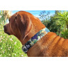 Dinofashion Dog Obojek softshell Ireland 60cm/3cm