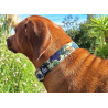 Dinofashion Dog Obojek softshell Ireland 55cm/3cm