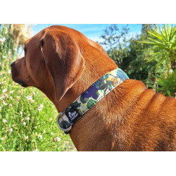 Dinofashion Dog Obojek softshell Ireland 45cm/3cm