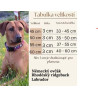 Dinofashion Dog Obojek softshell Ireland 45cm/3cm