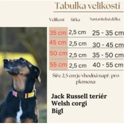 Dinofashion Dog Obojek Jorge 50cm/2,5cm