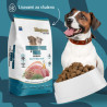 Magnum dog Iberian Pork & Tuna 12kg