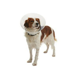 Límec ochranný BUSTER plastový Clic Collar 20cm