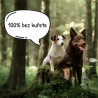 Wolfsblut Dog VetLine Hypoallergenic 12kg