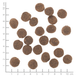 Wolfsblut Dog VetLine Hypoallergenic 12kg