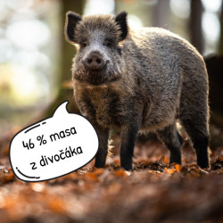 Mixáno do špajzu DIVOČÁK (zavařené) 300 g