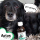 Aptus Apto-Flex VET sirup 500ml NEW