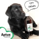 Aptus Apto-Flex VET sirup 500ml NEW