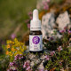 Ecopets Dog&Cat LESNÍ KAPKA-Sérum proti klíšťatům 10ml